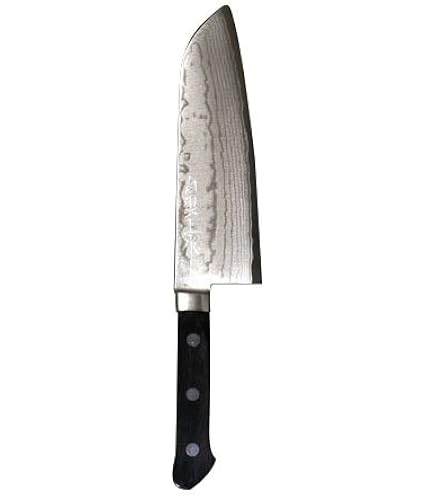 Amazon | 田中一之刃物製作所 誠貴作 V金10号積層鋼 剣型包丁 | 誠貴作